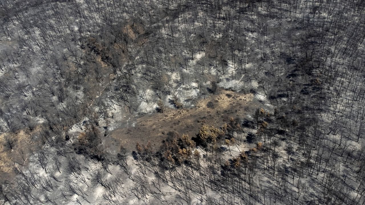 Aerial pictures show massive charring of Greek island by wildfires. Credit: Reuters Photo