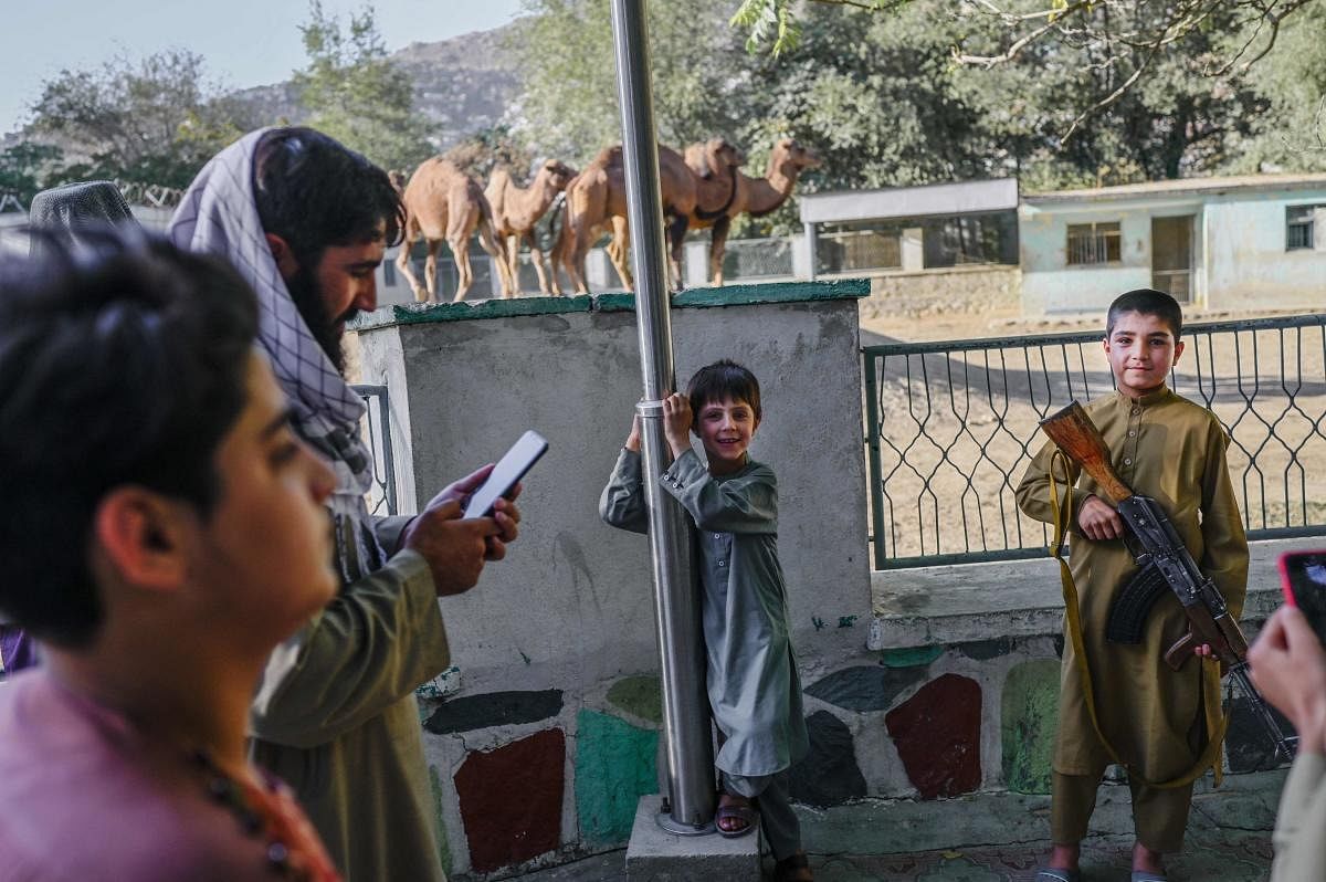 A boy poses for a picture with the rifle of a Taliban fighter near the camel enclosure at the Kabul zoo. Credit: AFP Photo