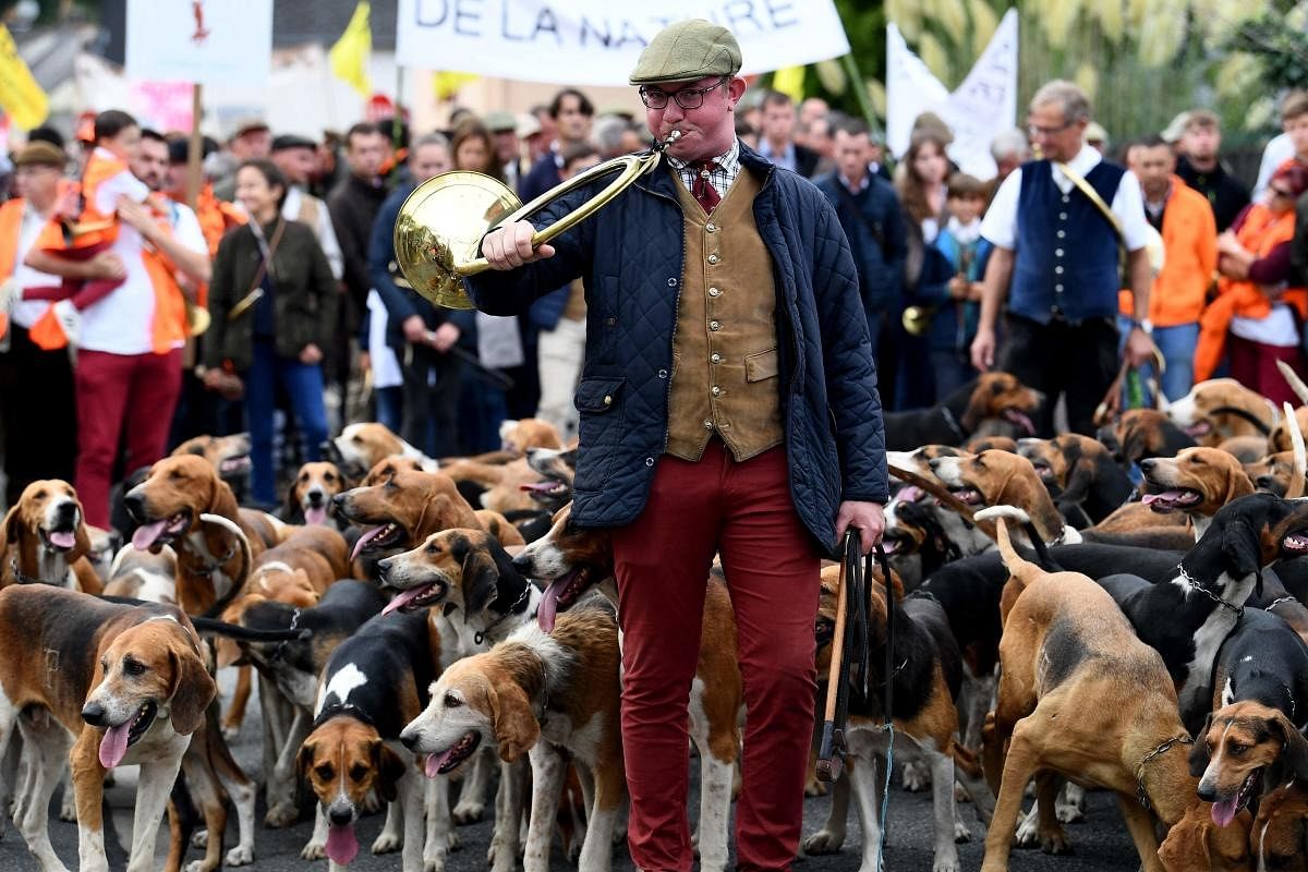 A demonstrator with hunting dogs for hounds protests to defend hunting and rural life in Redon, western France. Credit: AFP Photo
