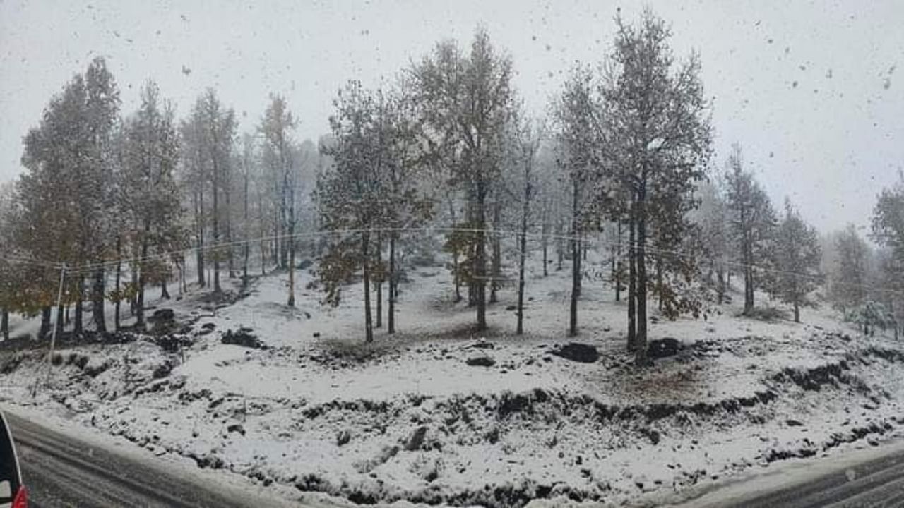 Uttarakhand, Himachal Pradesh turn white due to fresh snowfall; see pics