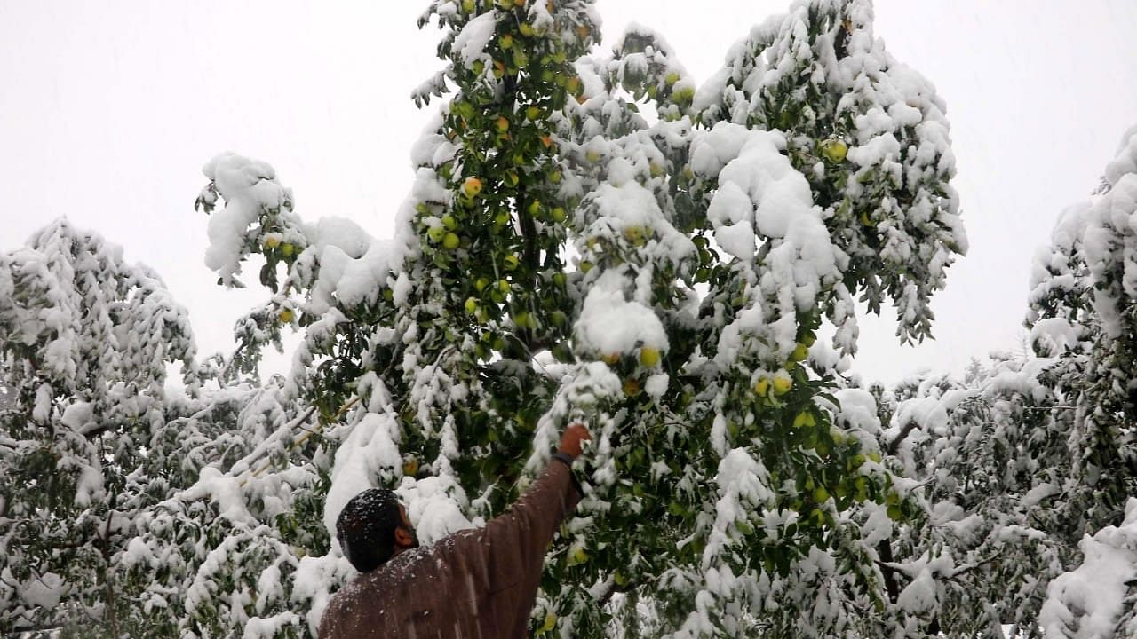 J&K, Ladakh turn into white wonderland after first snowfall; see pics