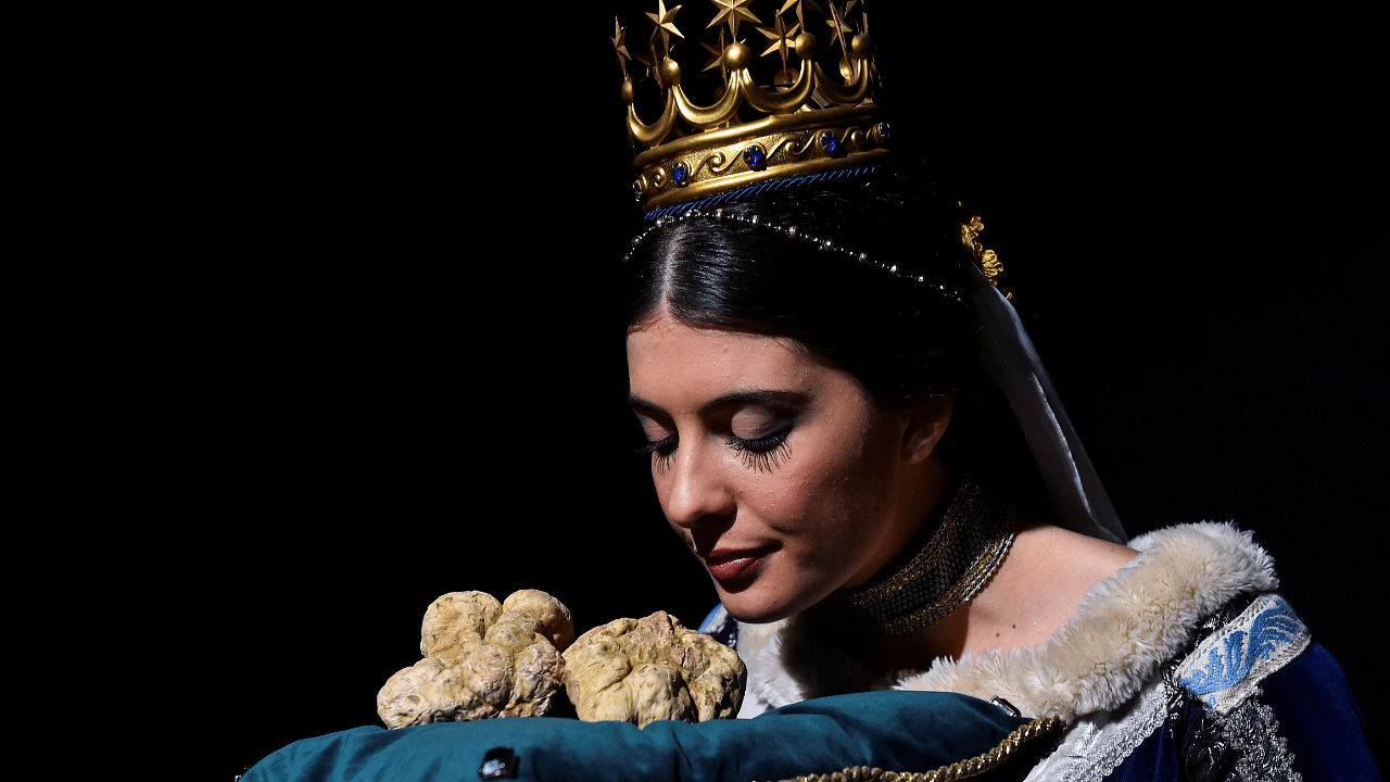 Alba truffles seen during the international auction for truffles at the Castle of Grinzane Cavour. Credit: Reuters Photo