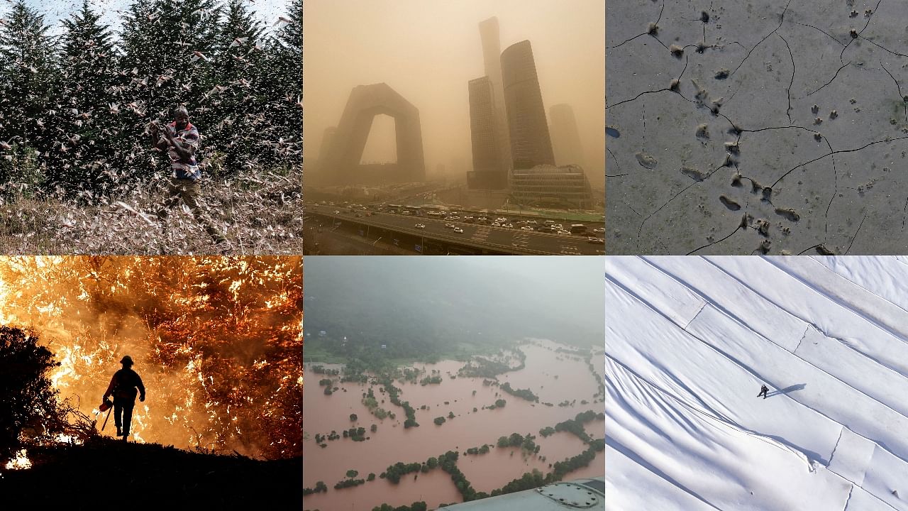 2021 in climate: Extreme weather events that shocked the world