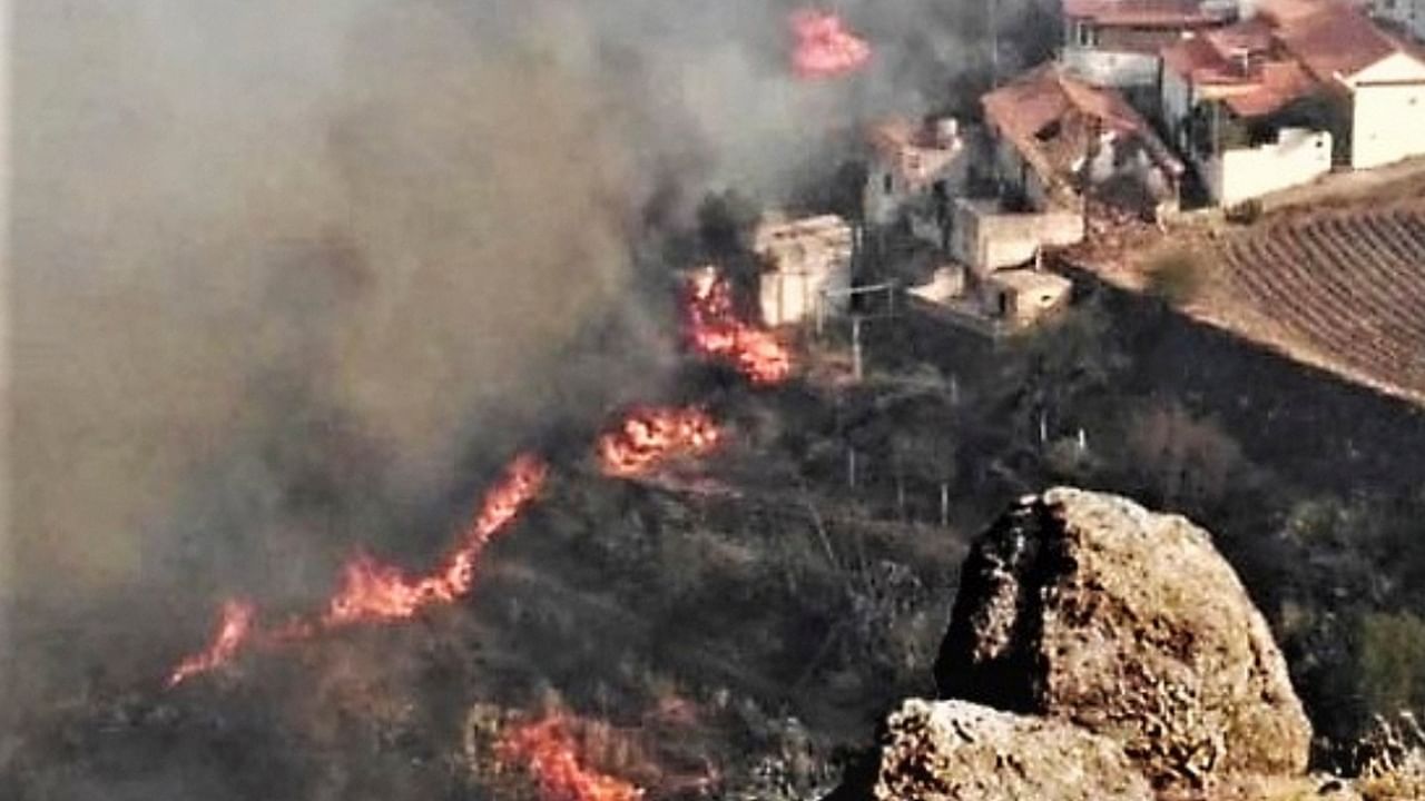 Thousands evacuated as wildfire rages in southern Spain; See Pics Credit: AP Photo