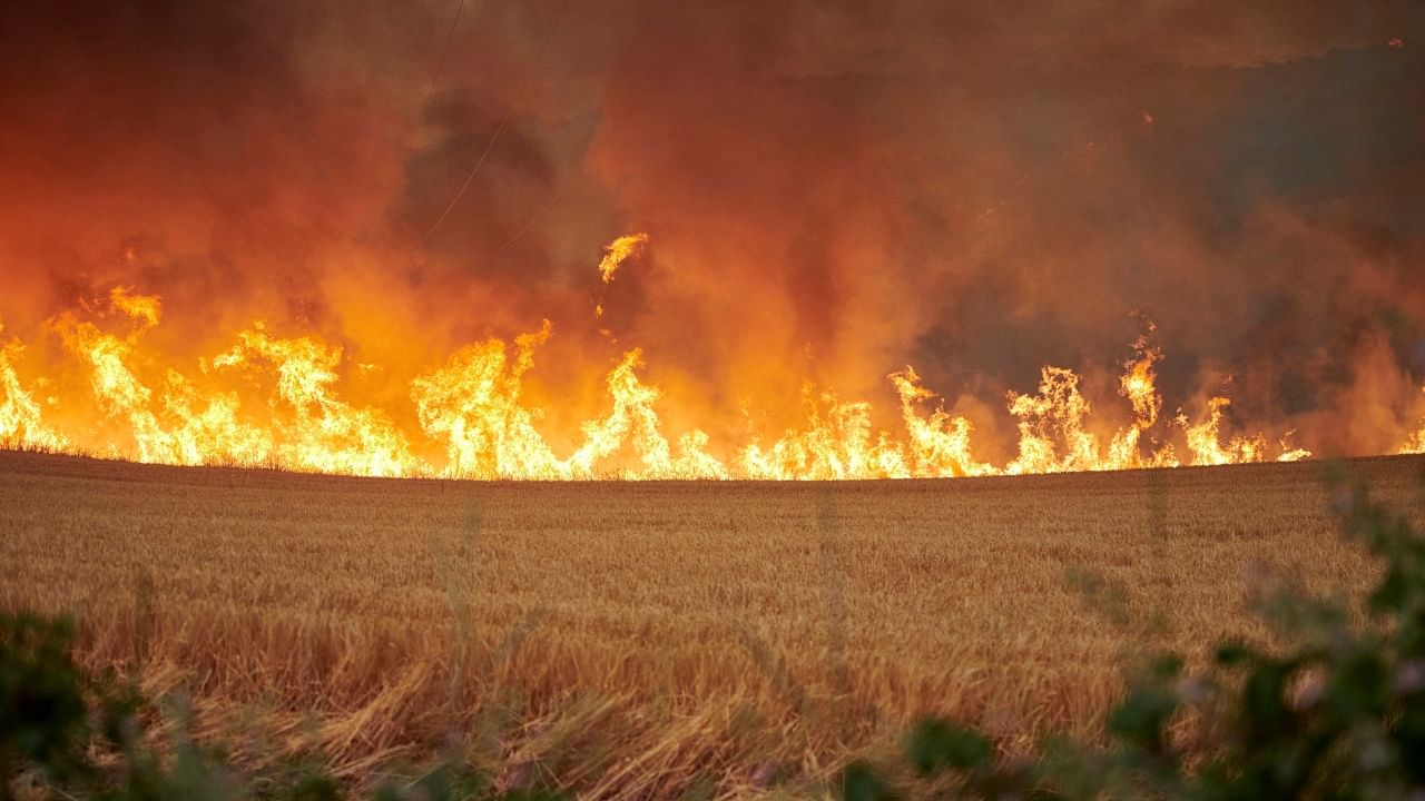 Wildfires rage across Spain amid an unusual heatwave in Europe