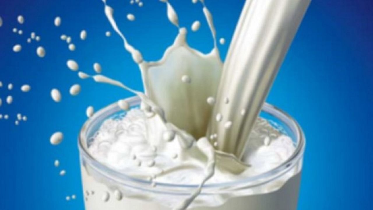 In Pics | Amazing facts about milk you may not know
