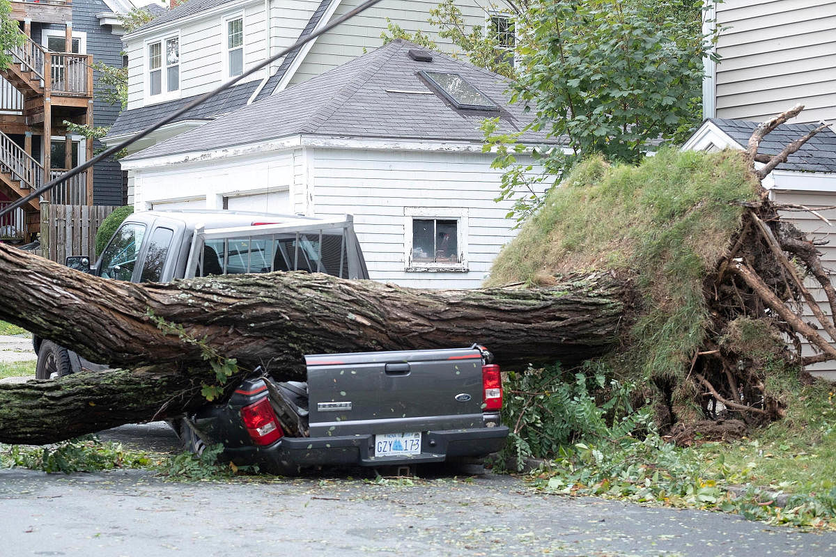 A fallen tree lies on a crushed pickup truck following the passing of Hurricane Fiona, later downgraded to a post-tropical storm, in Halifax, Nova Scotia, Canada. Credit: Reuters Photo