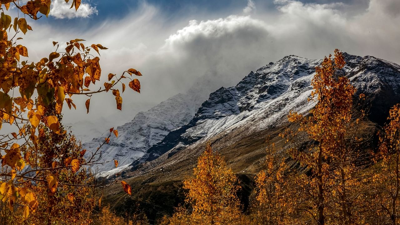 In Pics | Six best places in India to experience snowfall