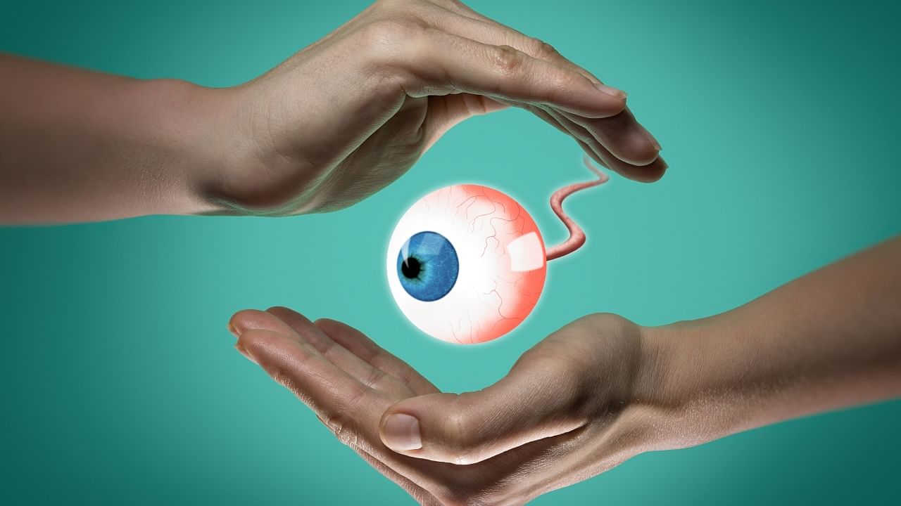 In Pics| Effective ways to ensure good eye health. Credit: Getty Images