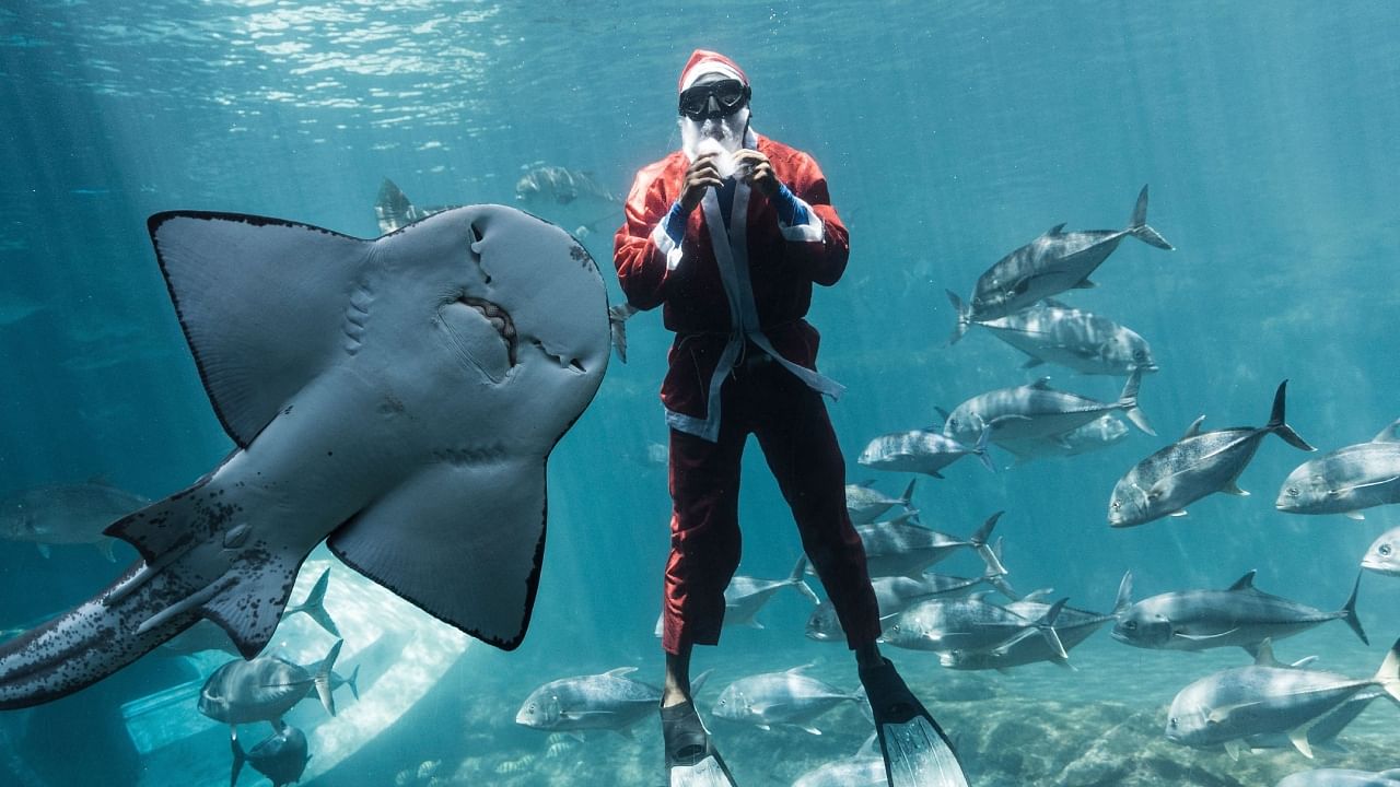 South African diver Jerry Ntombela dressed as Santa Claus gestures during a show at Africa's largest marine park, the South African Marine Biological Research (SAMBR) Sea World based at the uShaka marine World in Durban on December 20, 2022. Credit: AFP Photo