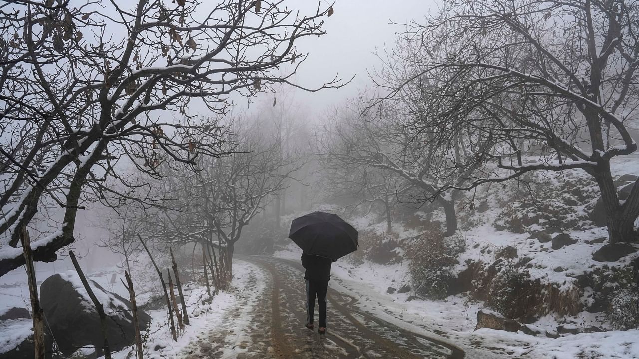Srinagar sees season's first snowfall, tourists rejoice