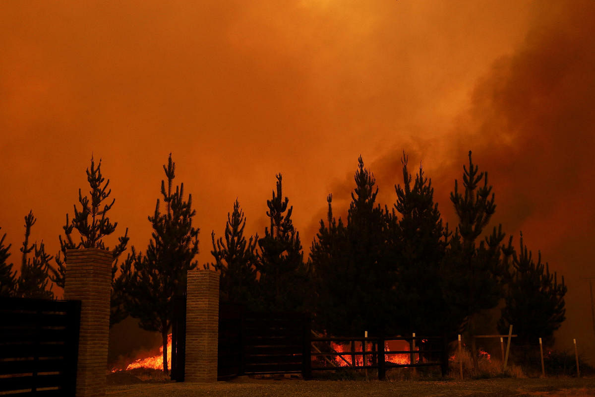 A wildfire burns areas in Santa Juana, near Concepcion, Chile. Credit: Reuters Photo