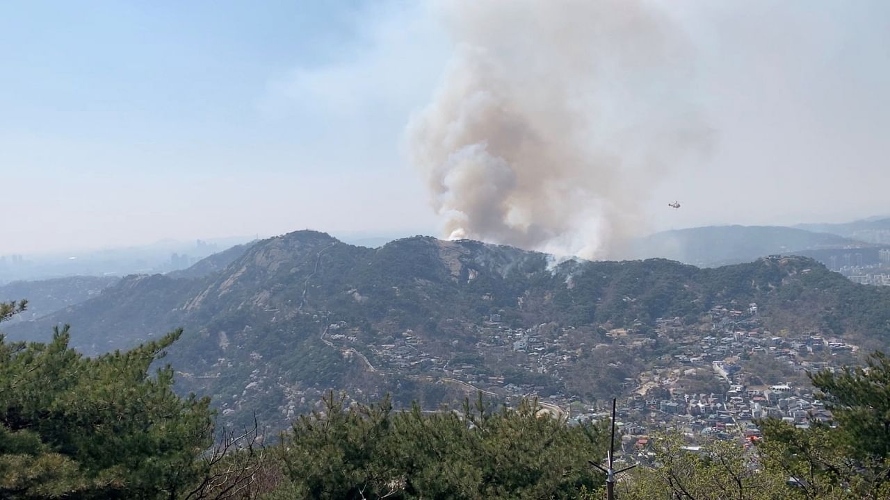 Dry spell leads to wildfires across South Korea; see pics. Credit: Instagram/@lucky_shane_park