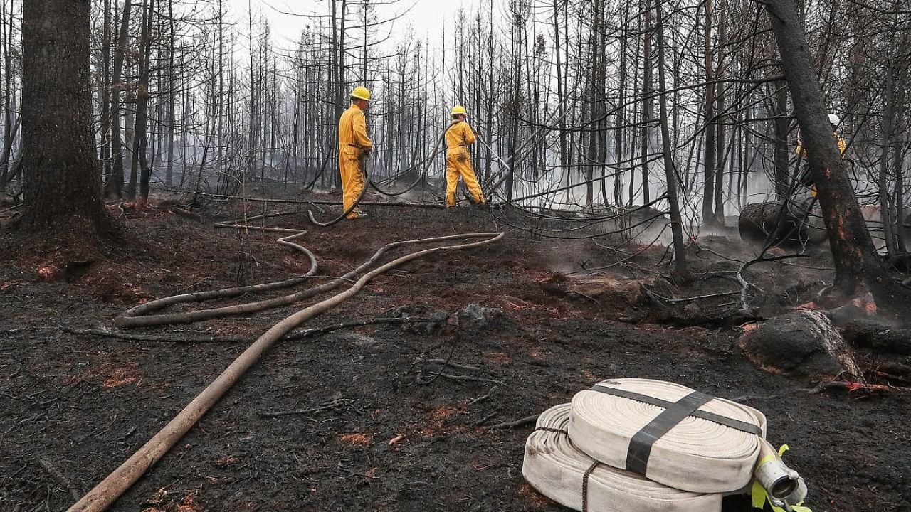 Annapolis Royal firefighters Jason Rock and Anthony Lopiandowski spray hot spots in the Birchtown area, while tackling wildfires in Shelburne County, Nova Scotia, Canada June 3, 2023. Communications Nova Scotia/Handout via REUTERS 