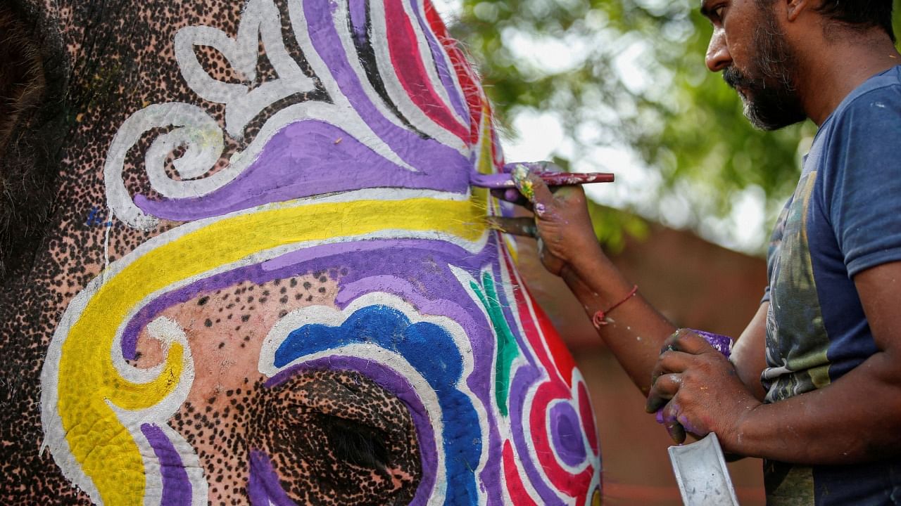 A mahout paints his elephant on the eve of the annual Rath Yatra, or chariot procession, outside the Jagannath temple in Ahmedabad. Credit: Reuters Photo
