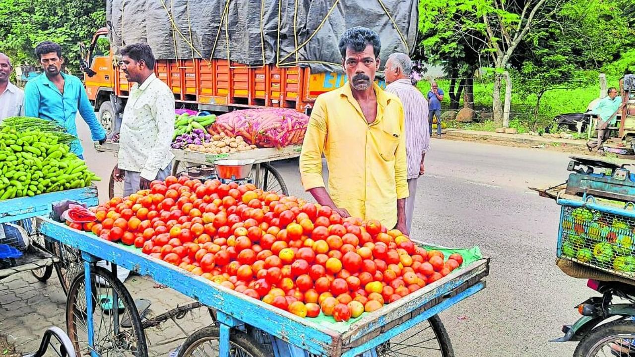 In Pics | Tomato substitutes to be used as prices rise