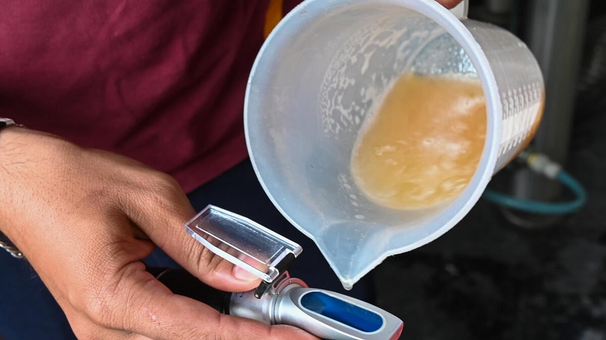 The craft of brewing